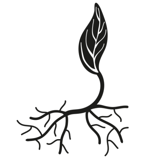 cropped-fundacion_luis_arellano_lacarra_favicon.png