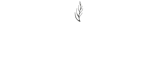 fundacion_luis_arellano_lacarra_logo_blanco